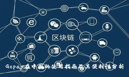 Gopay在中国的使用指南及其便利性分析