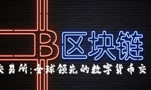 波币交易所：全球领先的数字货币交易平台