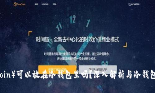 FIL（Filecoin）可以放在冷钱包里吗？深入解析与冷钱包的安全性