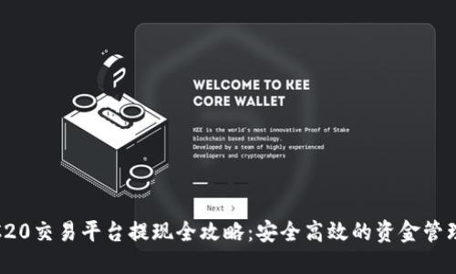 : TRC20交易平台提现全攻略：安全高效的资金管理策略