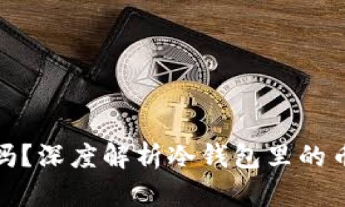 冷钱包安全吗？深度解析冷钱包里的币是否会丢失
