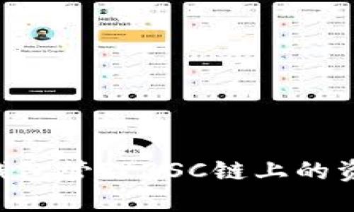 如何使用TP钱包管理BSC链上的资产：全面指南