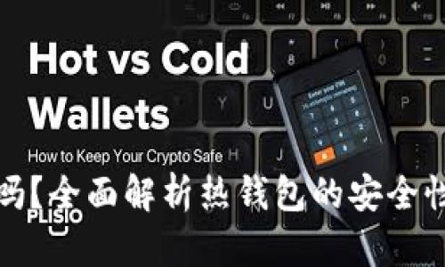 热钱包安全吗？全面解析热钱包的安全性与防护措施