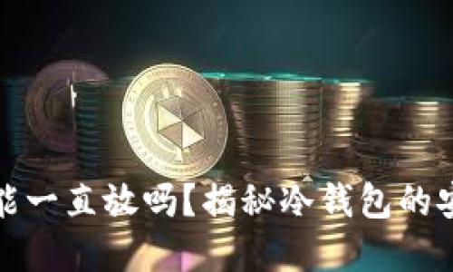 比特币放冷钱包能一直放吗？揭秘冷钱包的安全性与投资策略