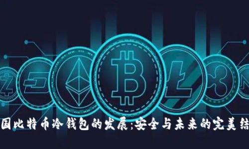 中国比特币冷钱包的发展：安全与未来的完美结合