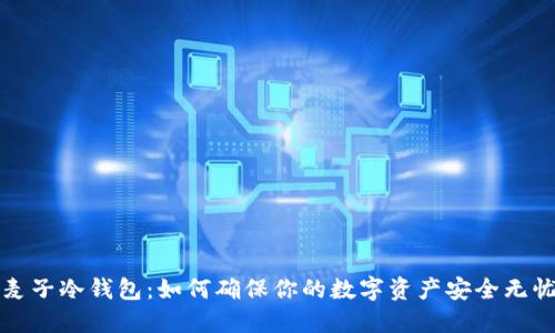 麦子冷钱包：如何确保你的数字资产安全无忧