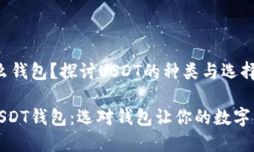 USDT是什么钱包？探讨USDT的种类与选择

深入了解USDT钱包：选对钱包让你的数字资产更安全
