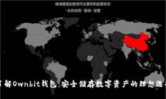 了解Ownbit钱包：安全储存