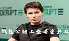 如何在冷钱包公链上查看