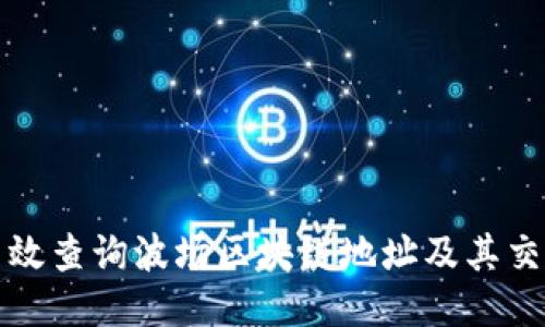 如何高效查询波场区块链地址及其交易记录