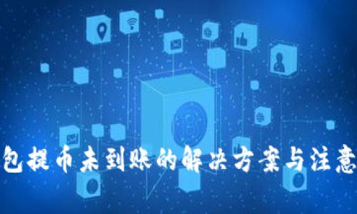 tp钱包提币未到账的解决方案与注意事项