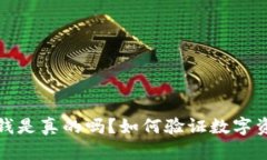 TP钱包上的钱是真的吗？如