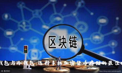 热钱包与冷钱包：选择手机加密货币存储的最佳方案