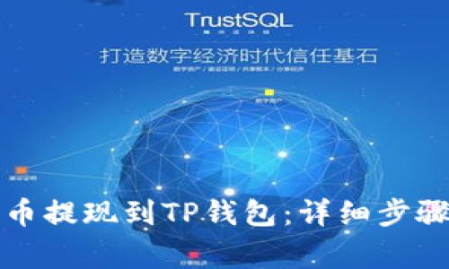 如何将柚子币提现到TP钱包：详细步骤与注意事项