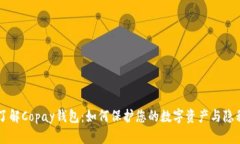 了解Copay钱包：如何保护您