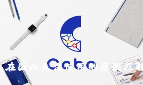  TP钱包在国内无法使用的原因及解决方案
