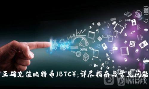如何正确充值比特币（BTC）：详尽指南与常见问题解析