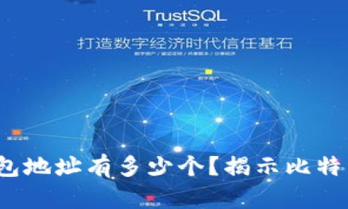  中本聪的比特币钱包地址有多少个？揭示比特币创始人的神秘财富