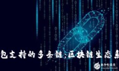 深入探索TP钱包支持的多条链：区块链生态系统的